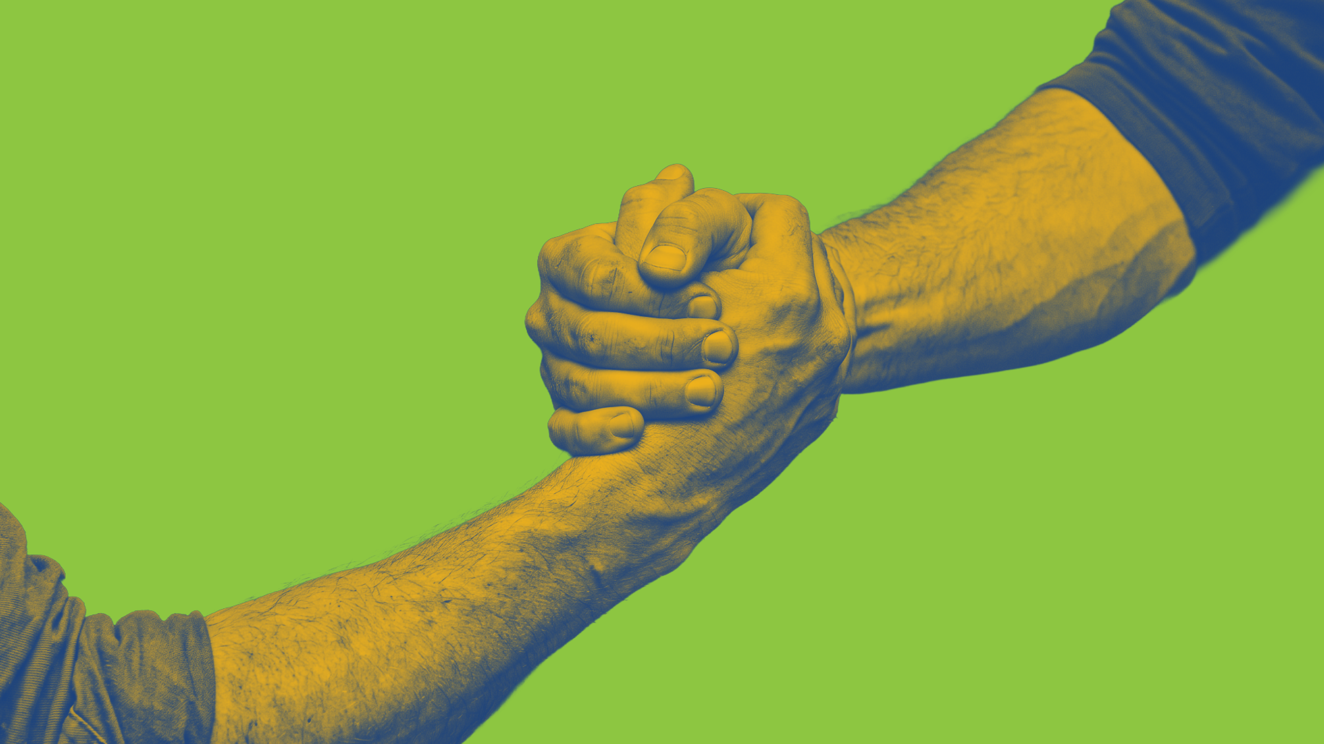 strengthen organisational trust